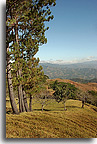 Grifo Alto Puriscal. jpg