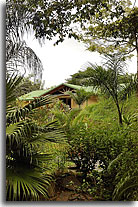 Desamparaditos Puriscal house, image