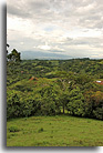 Grifo Alto Puriscal, image