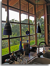 Grifo Alto Puriscal. jpg