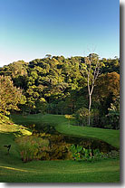 Costa Rica mountain home. image