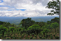 Puriscal Costa Rica. image
