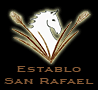 Costa Rica Equestrian Vacations