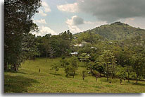 Puriscal property, photo