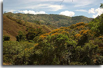 San Juan de Puriscal, image