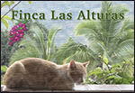 Visit Las Alturas web site