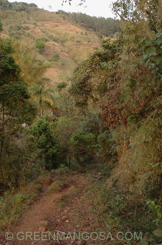 TC_0010