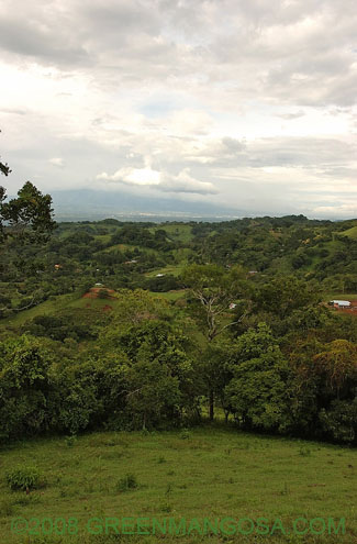 JF1_0010