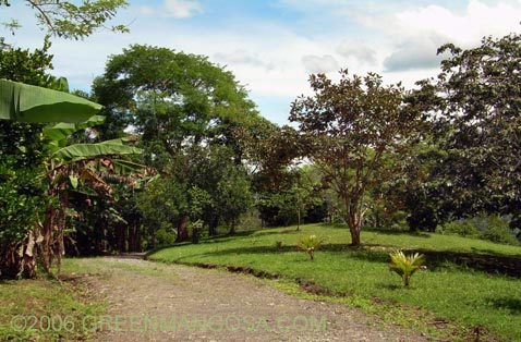 PbRol_0004