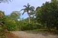 PbRol_0015