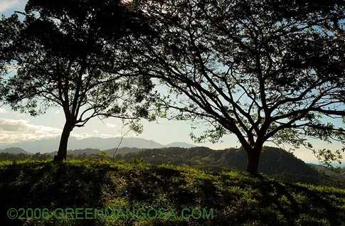 VRLL_011