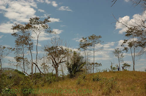 G_coy03_02