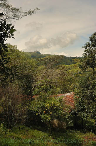 CAlg_0009