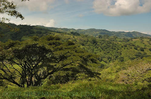 DSC_0016f