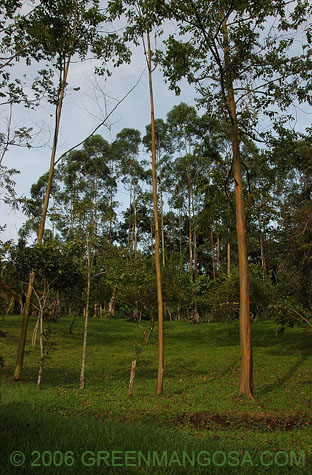 In08_0003