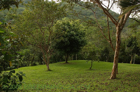 In08_0005
