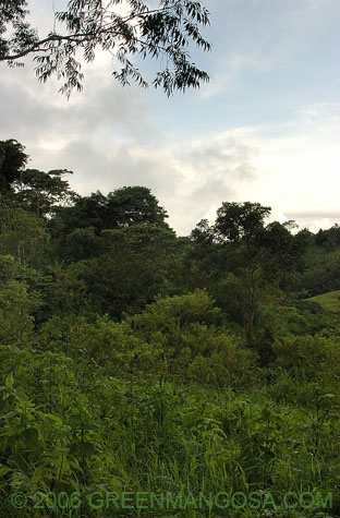 In08_0009