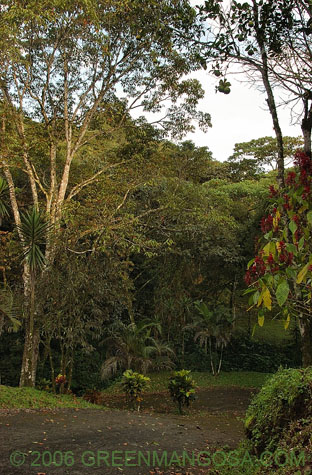 In08_0017