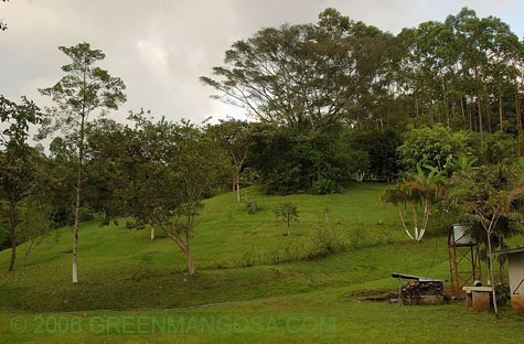 In08_0019