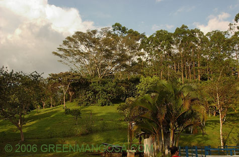 In08_0021
