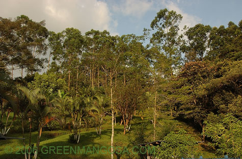 In08_0023