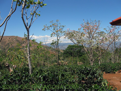GMSA_p0152_0008